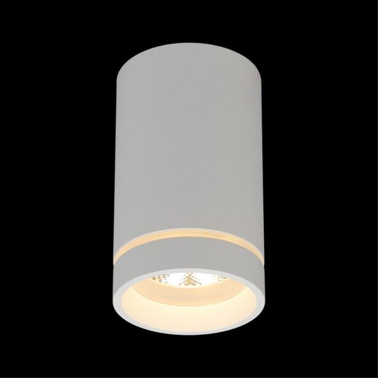 Светильник встраиваемый-накладной APL.0053.09.10