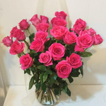 Роза малиновая Pink Floyd