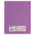 Тетрадь школьная А5 48л. клетка офсет №1 (обложка картон) в ассорт. (КПК)