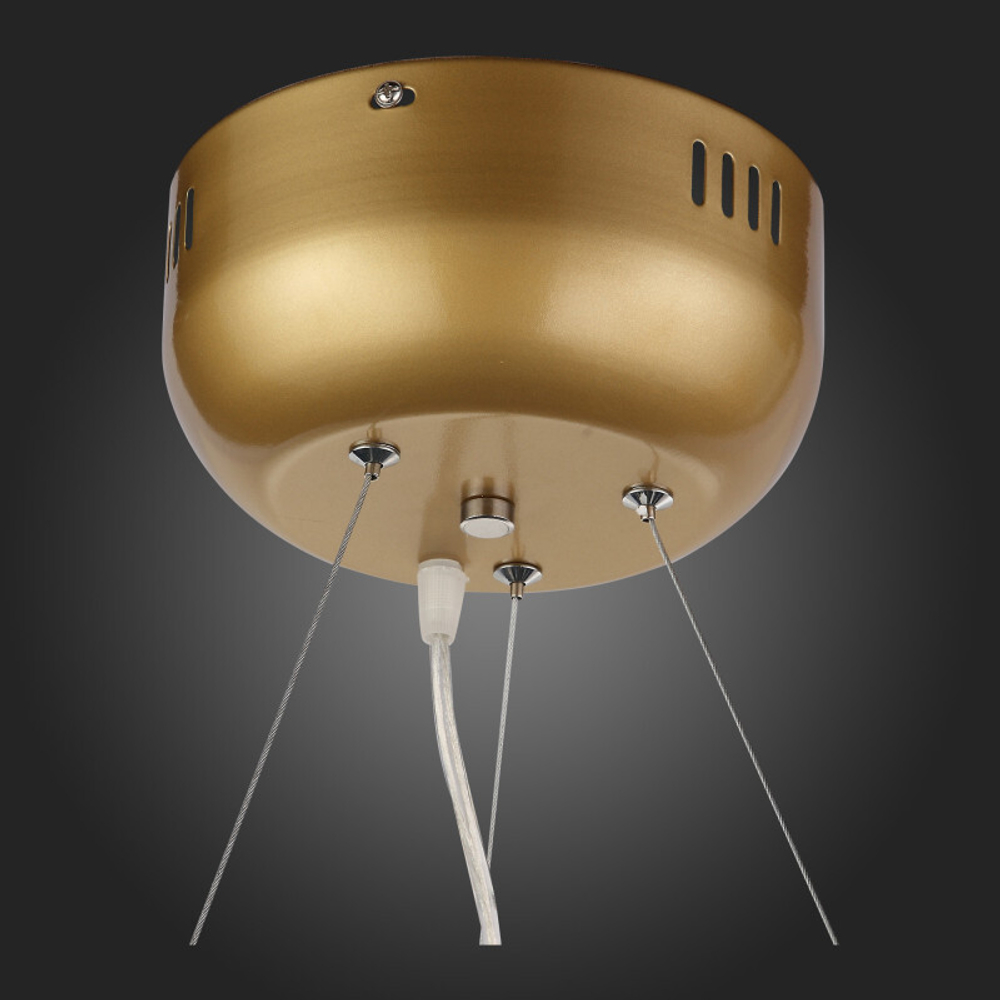 Подвесная люстра ST-Luce SL411.233.45