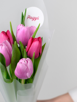 Тюльпаны микс