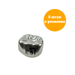 Второй нижний правый моляр, размер 5 (E-LR-5)