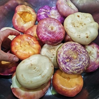 Репа Исконная Русская Сладкая