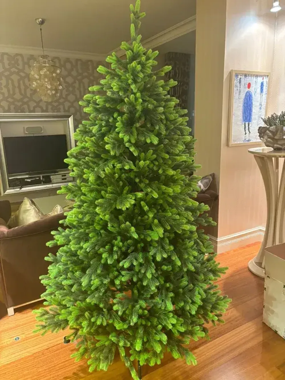 ель "Мисхор"