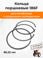 B147-1-186RT (1)