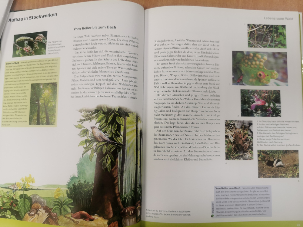 Lesen - Staunen - Wissen. Wald