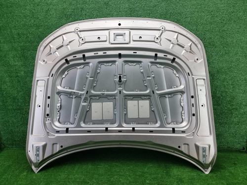 Капот Hongqi H9 (2020-н.в.)