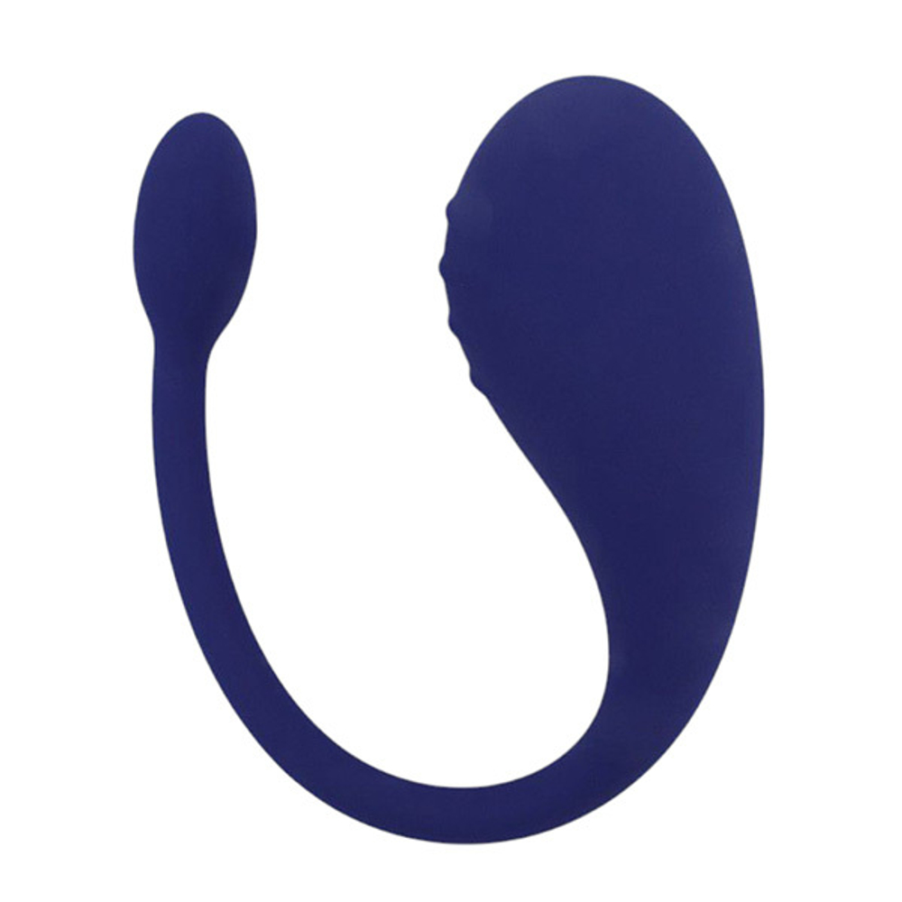 Синее аккумуляторное виброяйцо 9,4см Sose Aurora AU00102