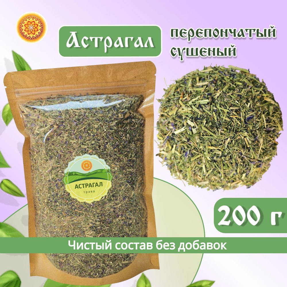 Астрагал перепончатый.