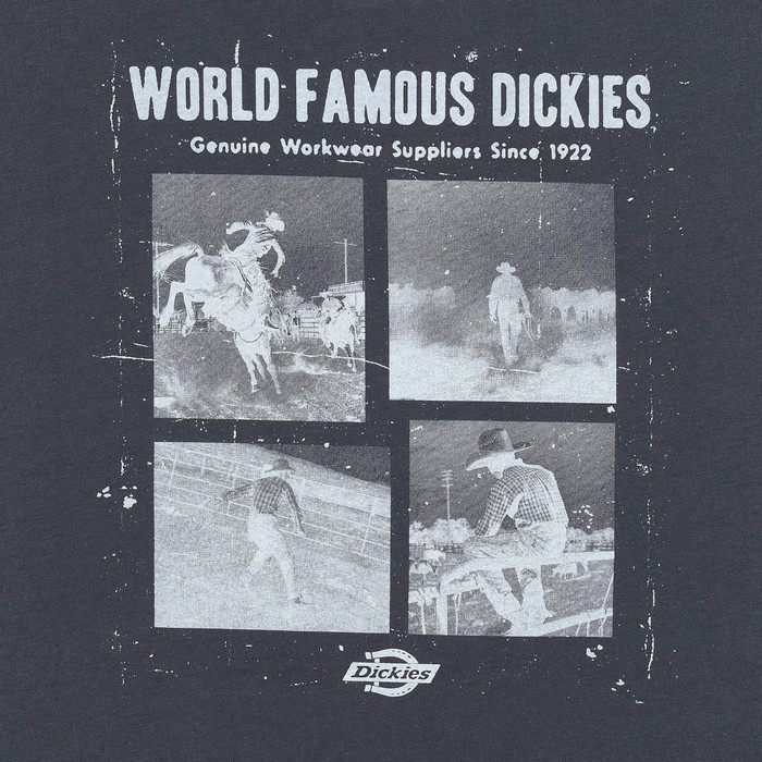 Футболка мужская Dickies Wolfhurst Short Sleeve Tee 