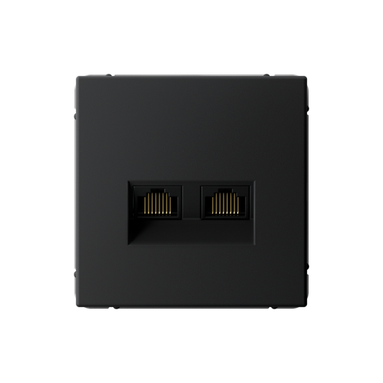 Розетка компьютерная 2-м ArtGallery RJ45 + RJ45 кат.5E механизм карбон SE GAL001085