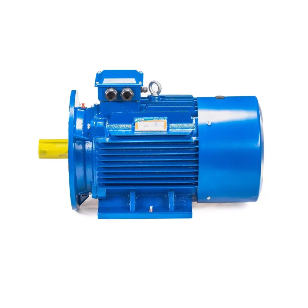 Электродвигатель 5АИ 200 L6 30/1000 IM2001