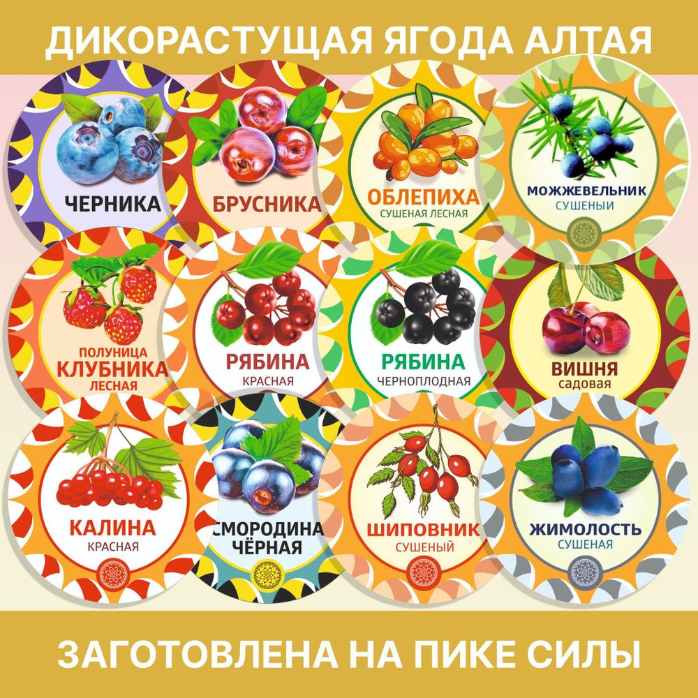 Донник, пучок.