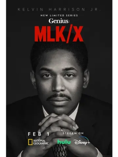 Гений, сезон 4 (DVD-R)