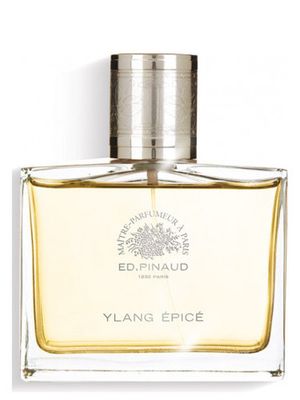 Ed Pinaud Ylang Epice