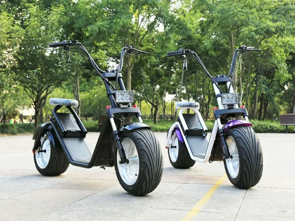 Электросамокат El-sport New Design Citycoco 1000W 60V, 12Ah