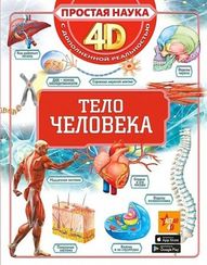 Тело человека