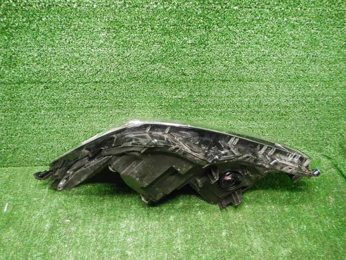 DSCN4685.JPG