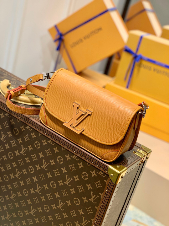 Louis Vuitton Buci Bag