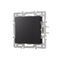 Заглушка для розетки SCT-MGG-PL-BK Arlight 044893