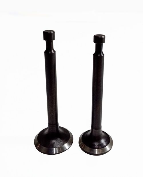 Клапаны (пара) G120F/500550023-0001