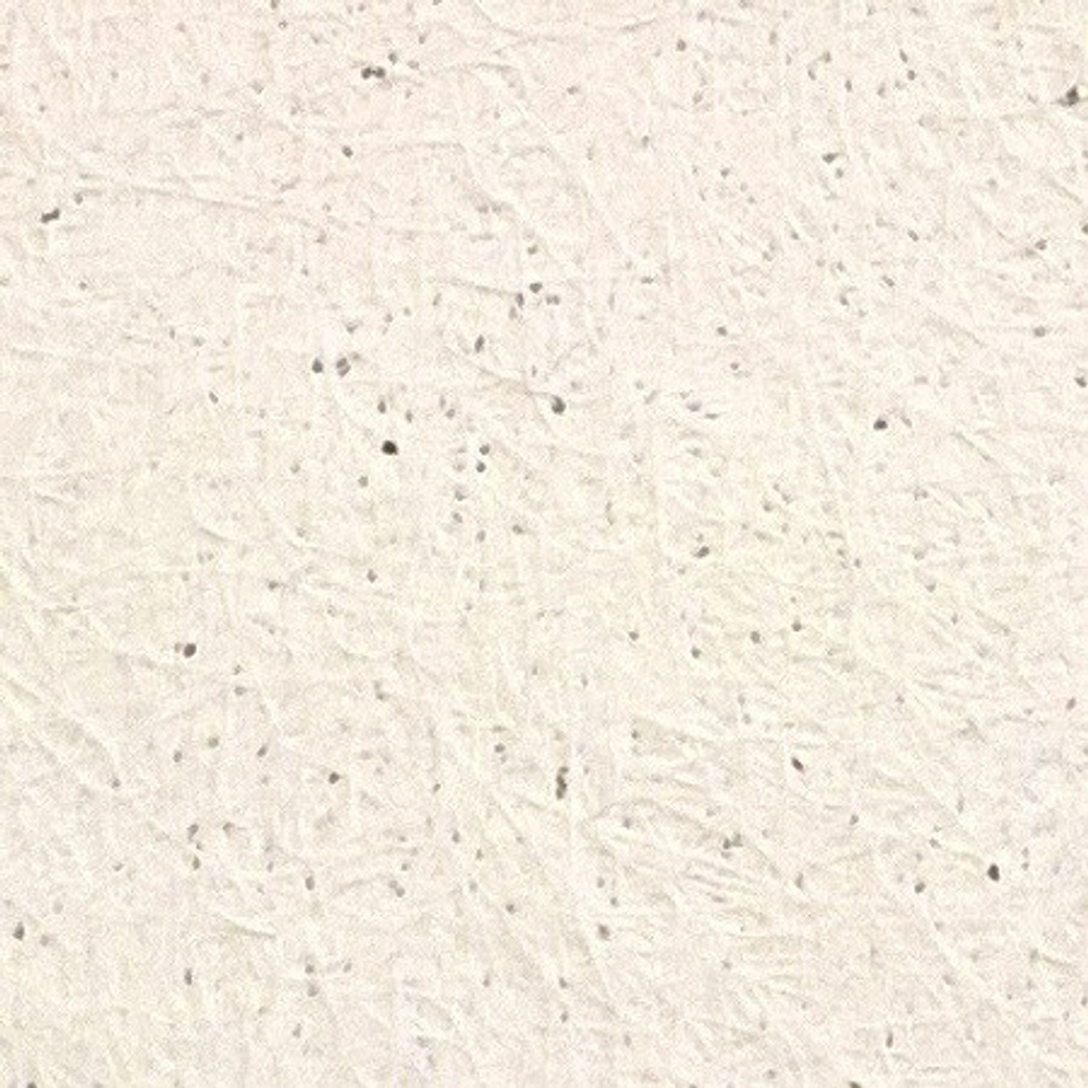 Плита потолочная Rockfon Solut Board А15 600х600х15 мм