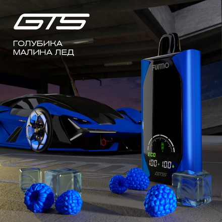 Fummo GTS18000 Голубика малина лёд 18000 затяжек 20мг (2%)