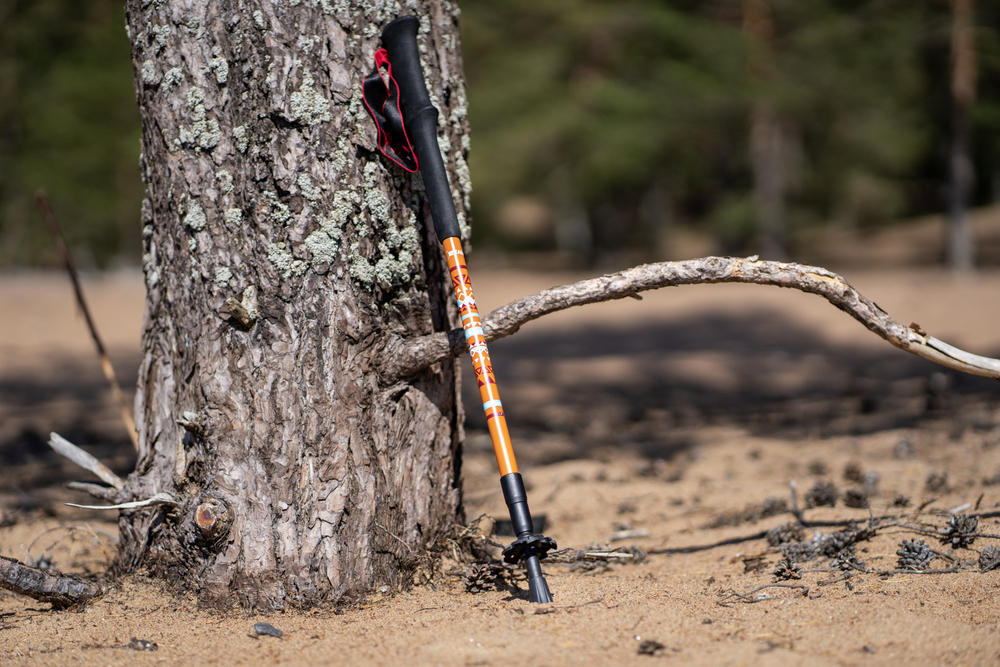 ПАЛКИ ТРЕККИНГОВЫЕ TALBERG RANGER POLE