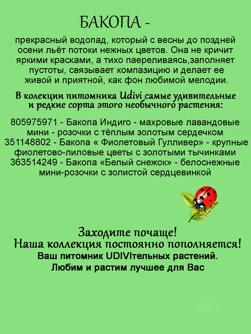 Бакопа Фиолетовый Гулливер ампельная