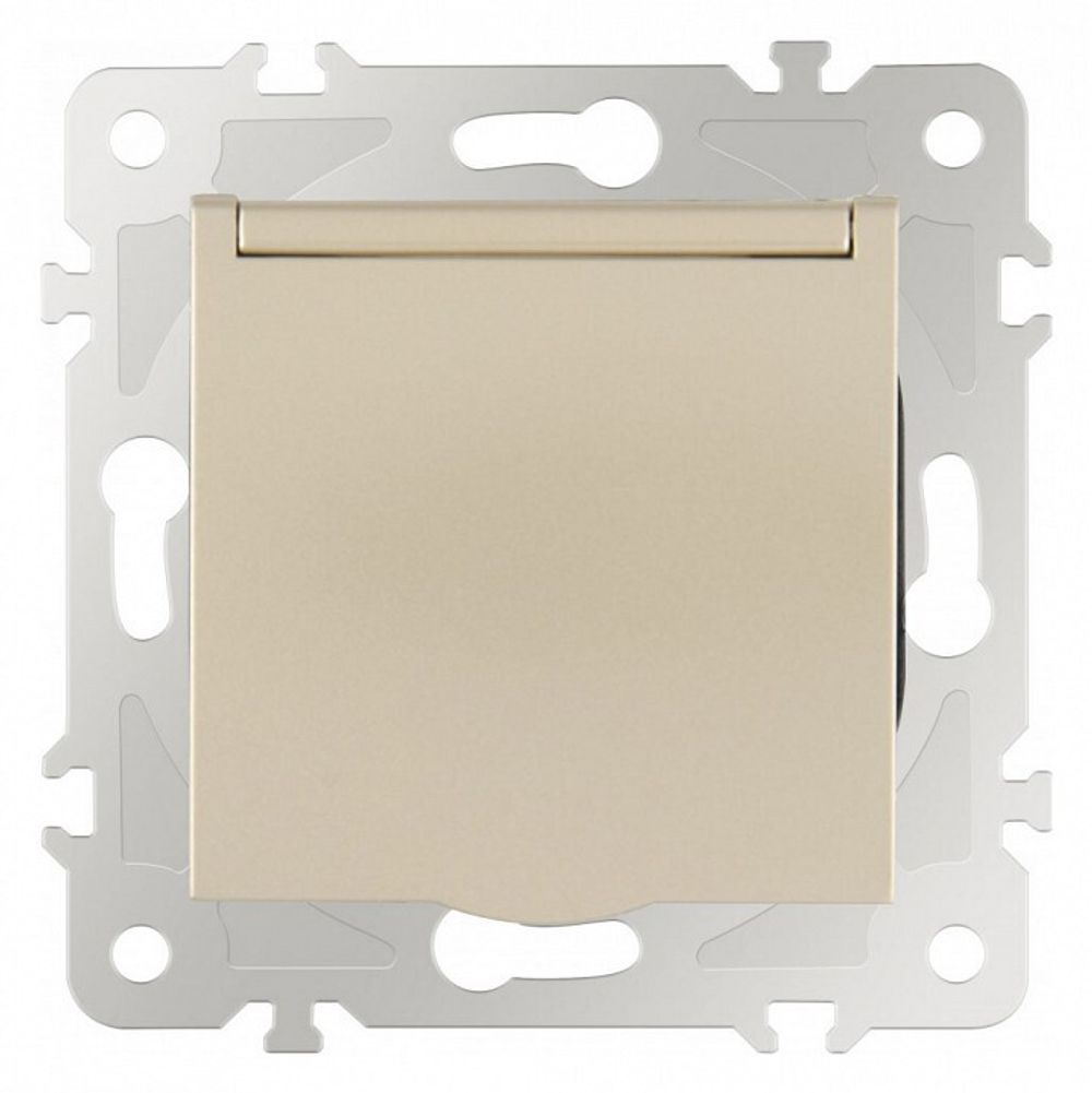 Розетка влагозащищенная с заземлением и со шторкой с крышкой Arte Milano am-203 203.41-1.shampan