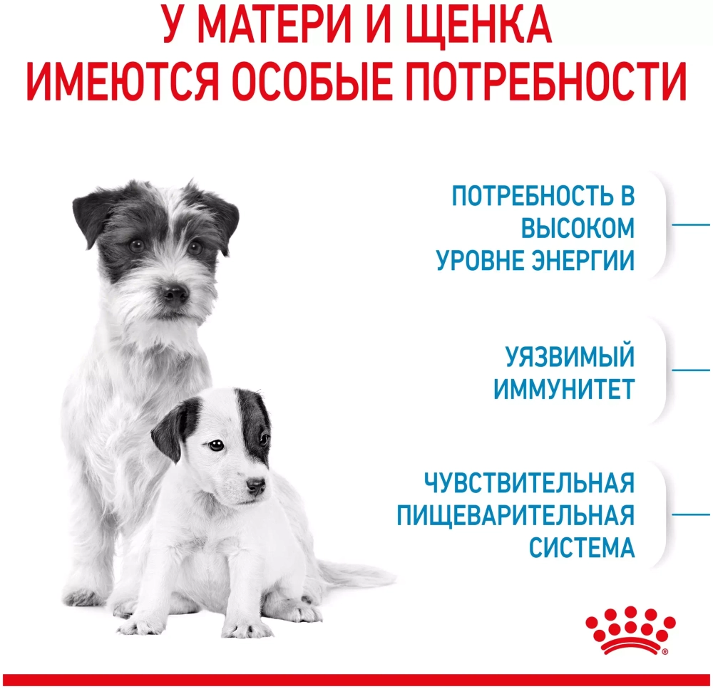 Royal Canin Mini Starter Сухой корм Роял Канин для щенков до 2 месяцев и матерей мини пород, 1 кг