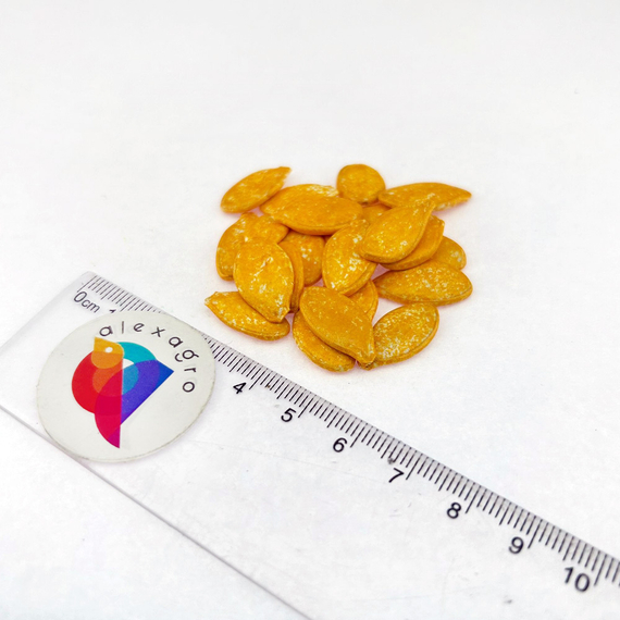 Оранж Саммер F1 семена тыквы (Enza Zaden / ALEXAGRO) семена – фото 6