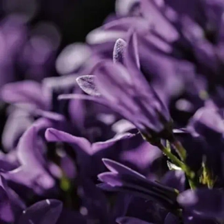 Третья новость магазина