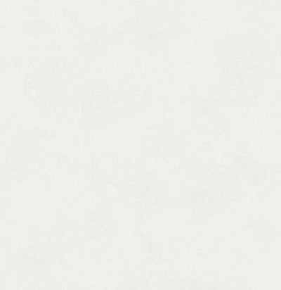 Обои матовые с иммитацией штукатурки BLONE1002