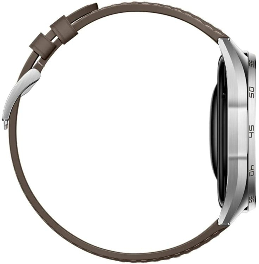 Смарт-часы Huawei Watch GT 6 Atum-B19L,  46мм,  1.47",  коричневый/серебристый