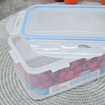 Контейнер 0,8л с клипсами