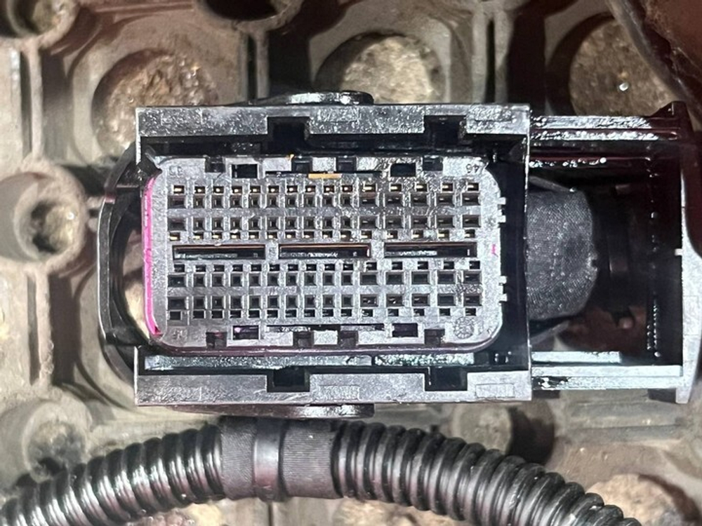 Проводка двигателя 2024г.