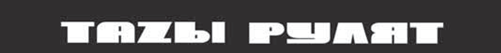Наклейка лоб.стекла Светофильтр "Тазы рулят" 16,5х130см, фон черный 06629