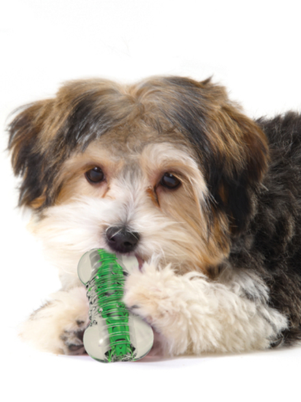 Petstages игрушка для собак "Хрустящая косточка" резиновая 8 см очень маленькая