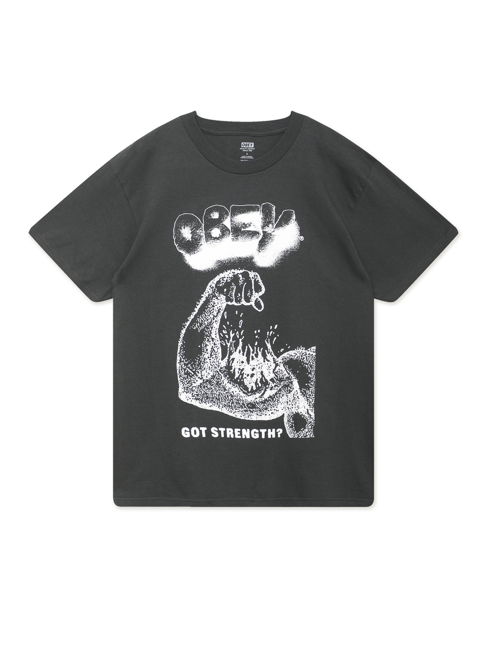 Футболка Кор. Рукав Obey Got Strength?
