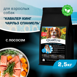 Корм сухой для взрослых собак породы Кавалер кинг Чарльз спаниель, с лососем, 2,5 кг, QUATTRO