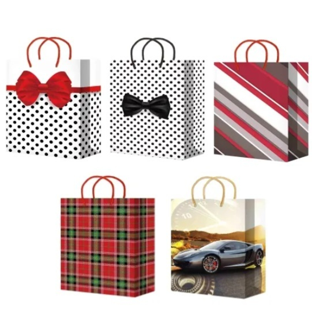 Пакеты подарочные 22х31+10 см, (10/50 шт)