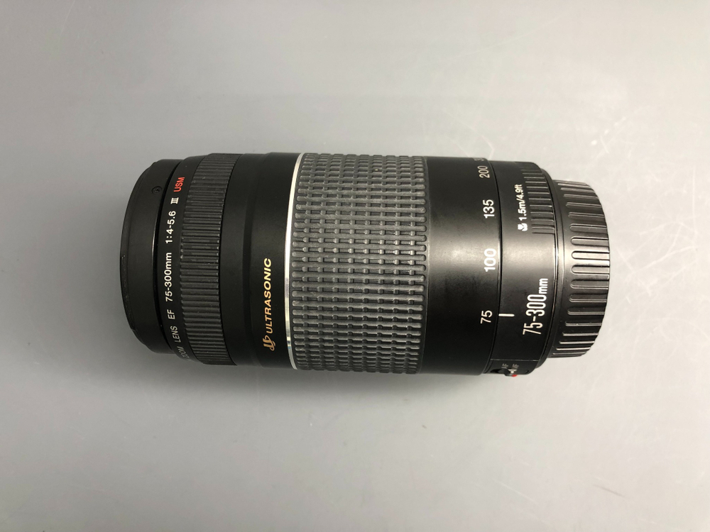 Canon EF 75-300mm 4-5.6 III USM