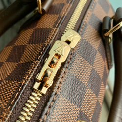Louis Vuitton Speedy 20