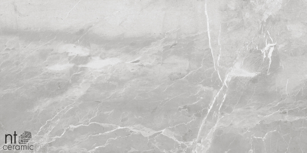 Керамогранит NT CERAMIC Slate Grey 600*1200мм лаппатированная