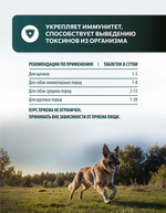 Vita+ мультивитаминное лакомство для собак Крепкий иммунитет, 90 таблеток