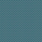 Rifle Paper Co. Second Edition