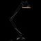 Торшер Arte Lamp Goliath A2487PN-1BK