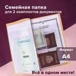Папка для семейных документов с файлами (паспорта свидетельства полисы СНИЛС) STAFF 16 отделений ПВХ бежевая (2 штуки в упаковке)