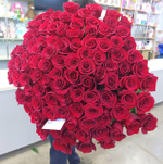 101 Роза Эквадор 70 см